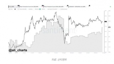 리플(XRP) 고래 매수 활동 급증