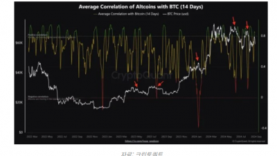비트코인과 알트코인 상관관계가 중요한 이유