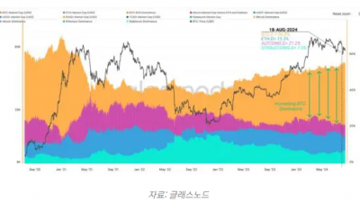 비트코인 도미넌스 56%, 장기 보유자 의지 확고