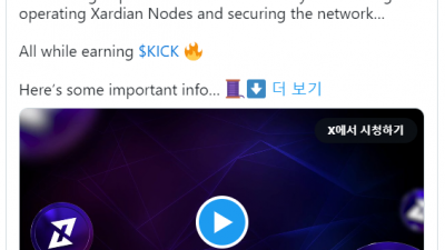 엑스프로토콜, 사디안 노드 출시