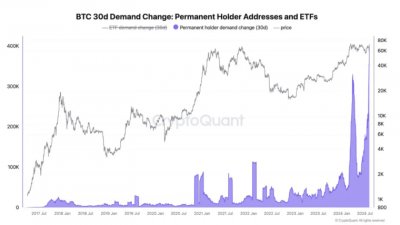 비트코인 장기 보유자, 40만 BTC 추가 축적