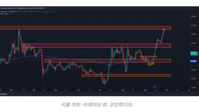 리플, 긍정적 이슈로 급등 가능성