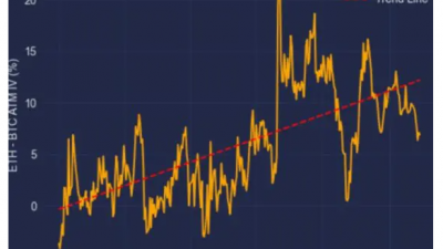 이더리움, 美 대선일 전후 비트코인보다 큰 변동성 예상