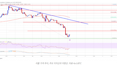 리플(XRP), 다음 지지선은?