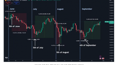 비트코인 10월초 혼란… “매달 5일을 조심하라”