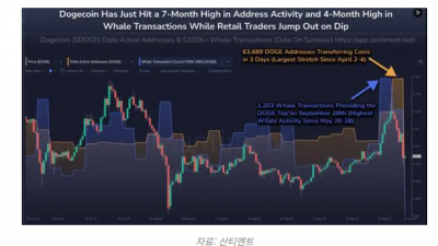 도지코인 가격 하락 동안 지갑 72% 급증