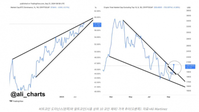 무지한 황소가 영리한 곰을 압도한다