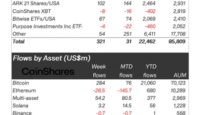 디지털 자산 펀드, 2주 연속 플러스 흐름