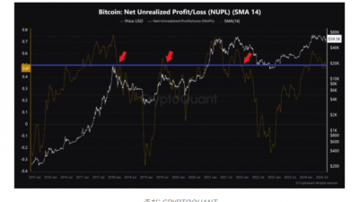 비트코인 NUPL 지표, $4만까지 추가 하락 가능성 시사