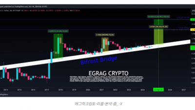 리플(XRP), 25년 1분기 최대 27달러 가능