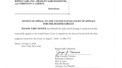 리플 CEO “끝까지 싸운다”