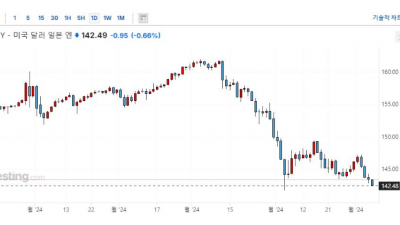 엔 캐리 트레이드의 역습
