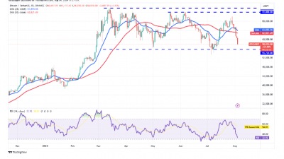 지수이동평균선 하락 전환