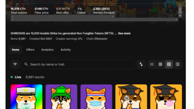 연초 대비 74% 뛴 밈코인 시바이누(SHIB)