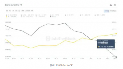 비트코인 고래들 최근 급락장에서 저가매수