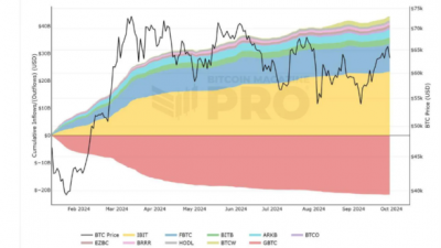 블랙록·피델리티 비트코인 ETF, 자산 규모 상위 10대 펀드 진입