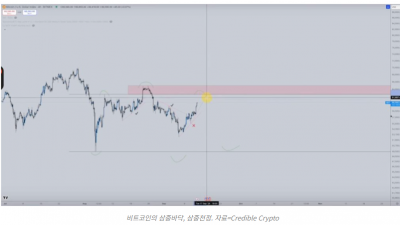 비트코인 아직 숲을 빠져나오지 못했다