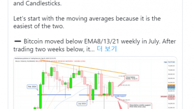 비트코인, 극단적으로 갈리는 차트 분석