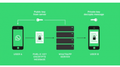 왓츠앱 vs 텔레그램 , 암호화 기술의 승자는