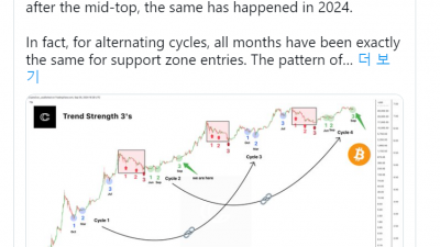 “비트코인, 2016년 12월 상황과 유사”