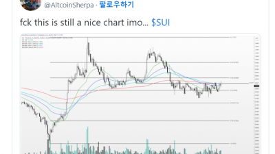 “수이(SUI), 탈출을 위한 가격 펌프인가?
