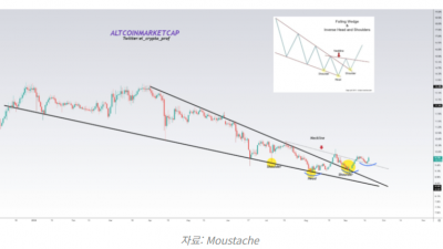 알트코인 대규모 상승 준비 중
