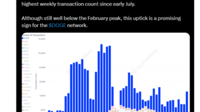 도지코인, 거래 활동 급증