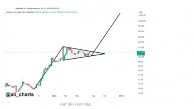 솔라나 가격 2주간 33% 급등, 대규모 상승 예고?