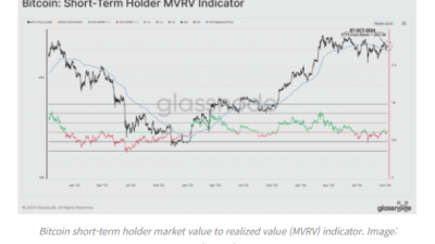 비트코인 하락세 깊지 않고 과거 상승장과 일치