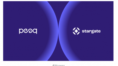 피크(peaq), USDC 도입 및 스타게이트 연동