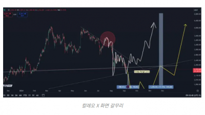이더리움 ·솔라나 회복 전망