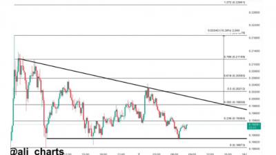 도지코인 30일간 79% 급등
