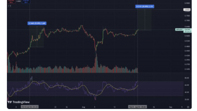 XRP 단기 강세, 추가 상승으로 0.80 달러 가능성