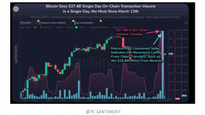 비트코인 온체인 트랜잭션 7개월 최고