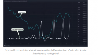 비트코인 큰손 보유량 7월에 84K BTC 이상 증가