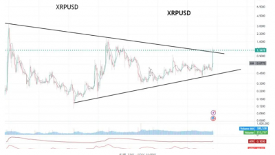리플, 도약 준비 완료–나는 비트코인과 솔라나만 보유