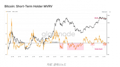 비트코인 단기 보유자 미실현 손실