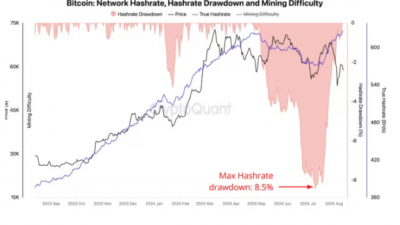 비트코인 채굴자 항복과 사상 최고 해시레이트
