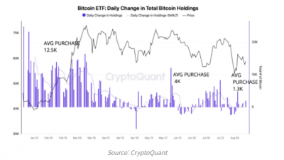 비트코인 수요, 4월 이후 급격히 감소