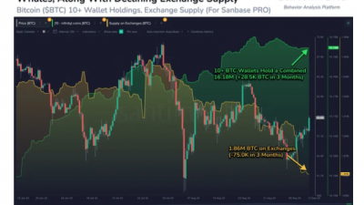 비트코인 고래의 축적, 거래소 유출 등 상승 징후
