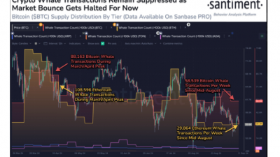 비트코인·이더리움 대규모 거래 급감
