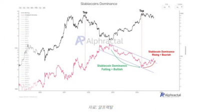 스테이블코인 지배력 증가, 시장에 부정적 신호