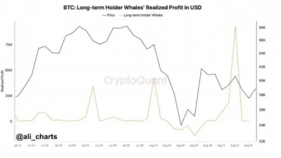 비트코인 고래 움직임, 거래소 유출, 청산 가능성