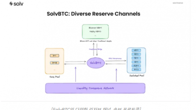 솔브 프로토콜, 비트코인 리저브 구축으로 디파이 시장 혁신