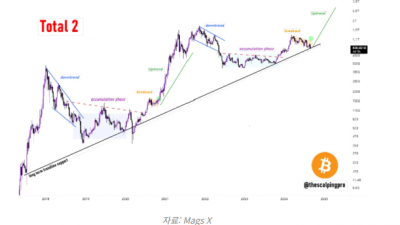 알트코인 가격 다지기 단계, 알트시즌 가능성 상승