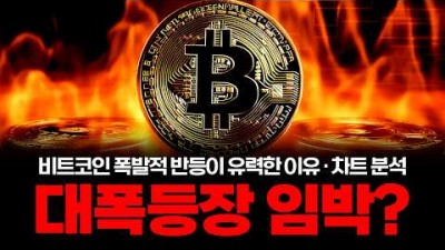 비트코인 대폭락장? 저는 오히려 폭등할 거라 봅니다