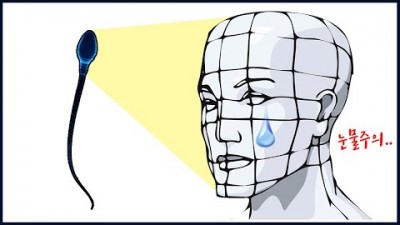 정자의 건강함과 외모의 상관관계