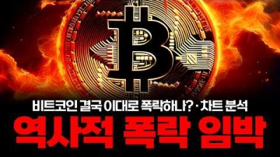 미친 듯이 폭락하는 비트코인, 저는 이렇게 대응하겠습니다