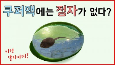 쿠퍼액의 임신가능성. 당신은 속았다!?