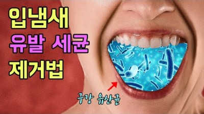 구강유산균이 입냄새 제거에 효과 있는 이유